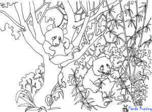 panda omalovanky3 1 300x221 1