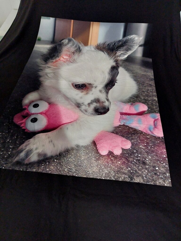 Deka s vlastnim potiskem Sablio